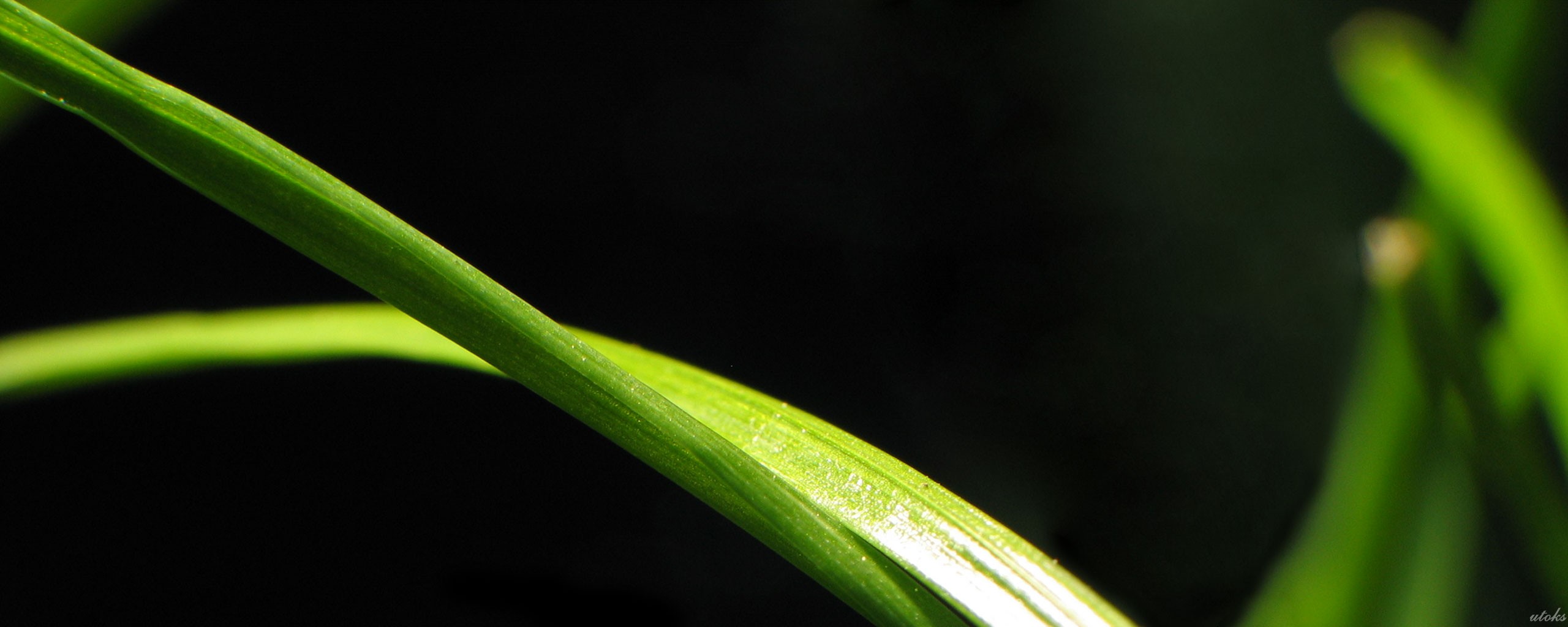 1920 x 1080 HD Wallpapers 205